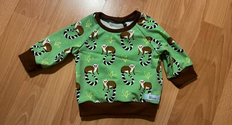 Raglan-Pullover mit passender Pumphose